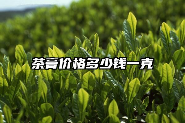 茶膏价格多少钱一克