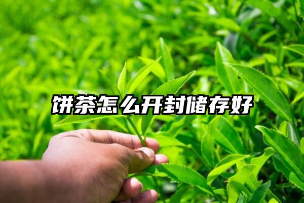 饼茶怎么开封储存好