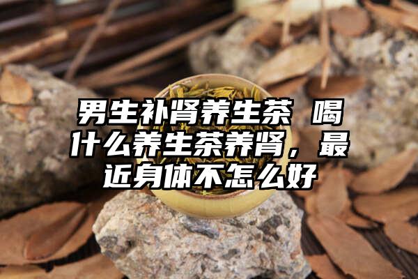 男生补肾养生茶 喝什么养生茶养肾，最近身体不怎么好