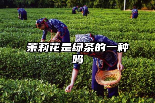 茉莉花是绿茶的一种吗