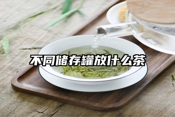 不同储存罐放什么茶