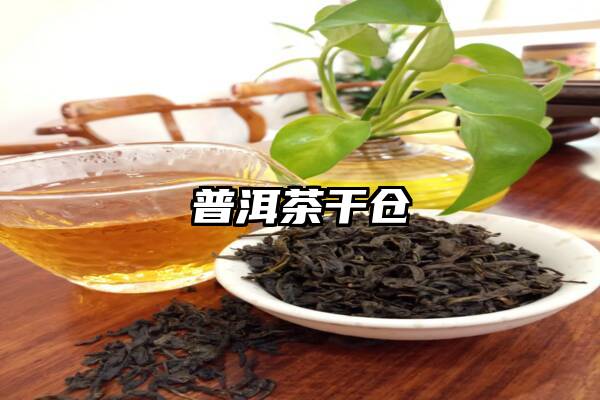 普洱茶干仓