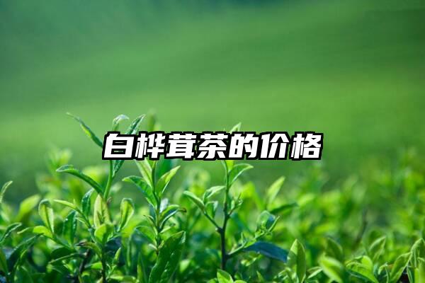 白桦茸茶的价格