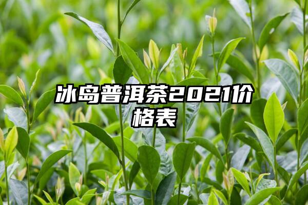 冰岛普洱茶2021价格表