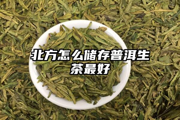 北方怎么储存普洱生茶最好