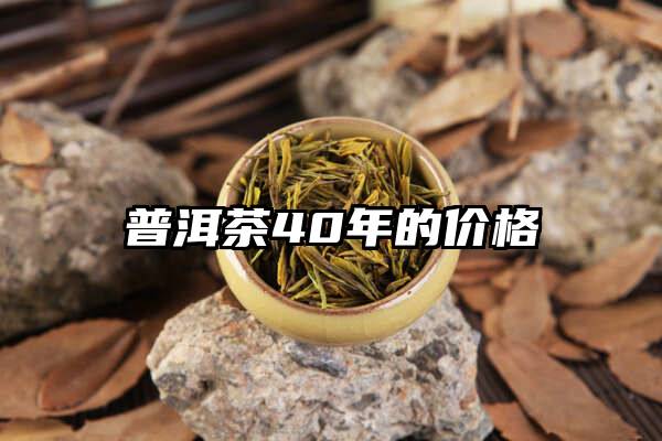 普洱茶40年的价格