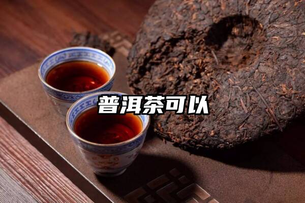 普洱茶可以