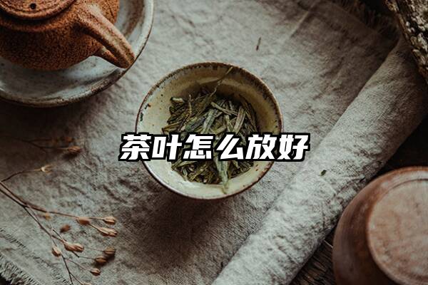 茶叶怎么放好