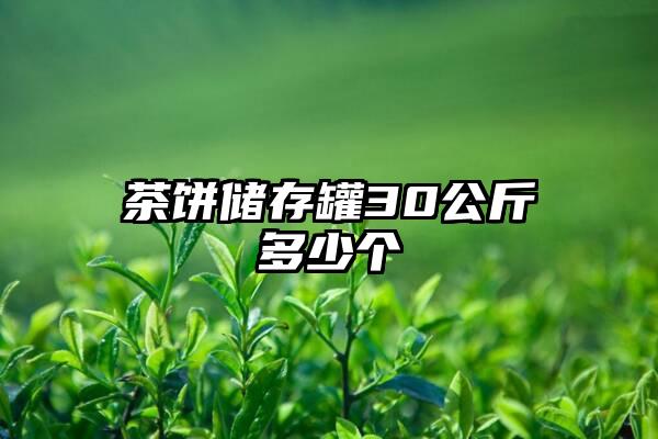 茶饼储存罐30公斤多少个