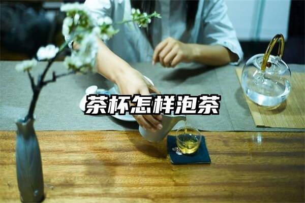 茶杯怎样泡茶