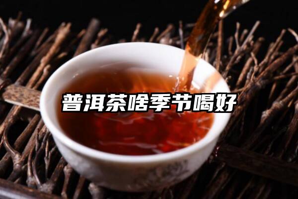普洱茶啥季节喝好