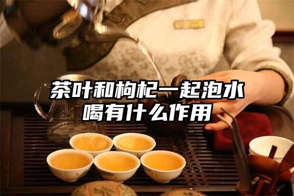 茶叶和枸杞一起泡水喝有什么作用