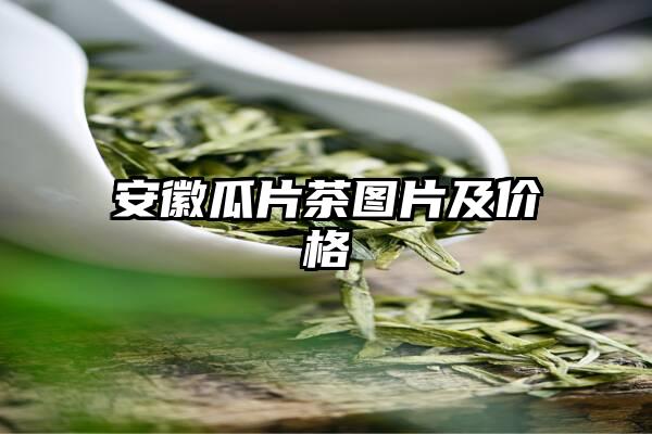 安徽瓜片茶图片及价格