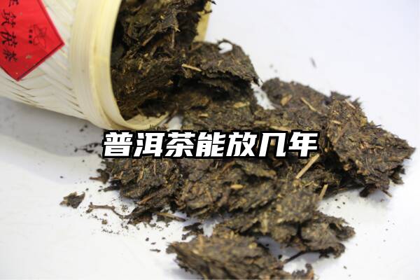 普洱茶能放几年