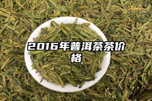 2016年普洱茶茶价格