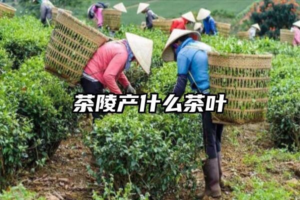 茶陵产什么茶叶