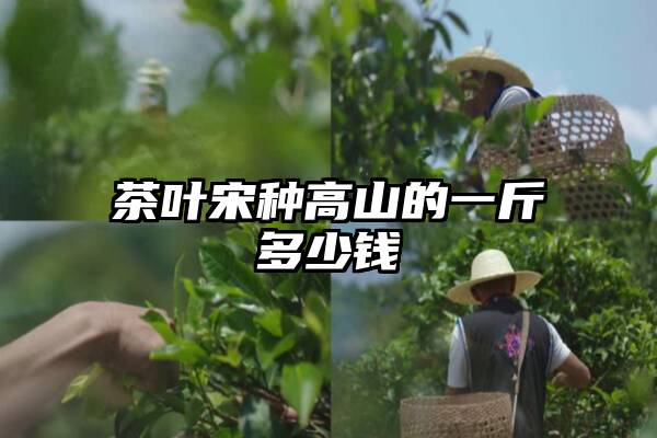 茶叶宋种高山的一斤多少钱