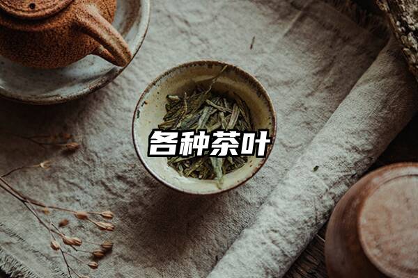 各种茶叶