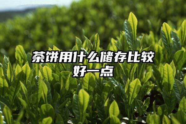 茶饼用什么储存比较好一点