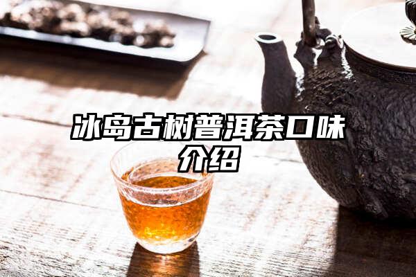 冰岛古树普洱茶口味介绍