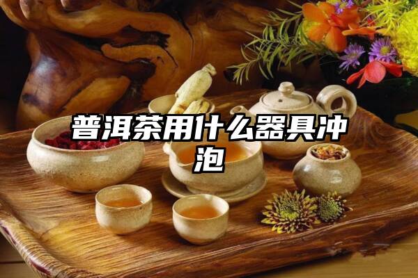 普洱茶用什么器具冲泡