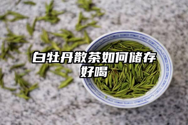 白牡丹散茶如何储存好喝