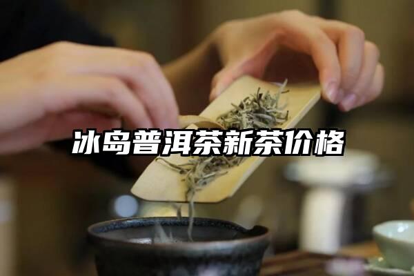 冰岛普洱茶新茶价格