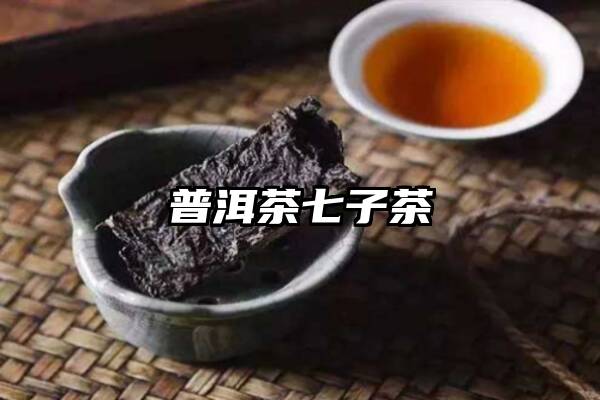 普洱茶七子茶