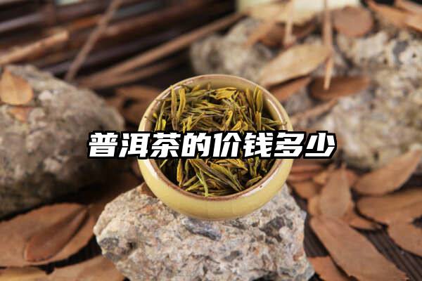 普洱茶的价钱多少