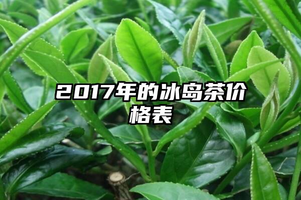 2017年的冰岛茶价格表