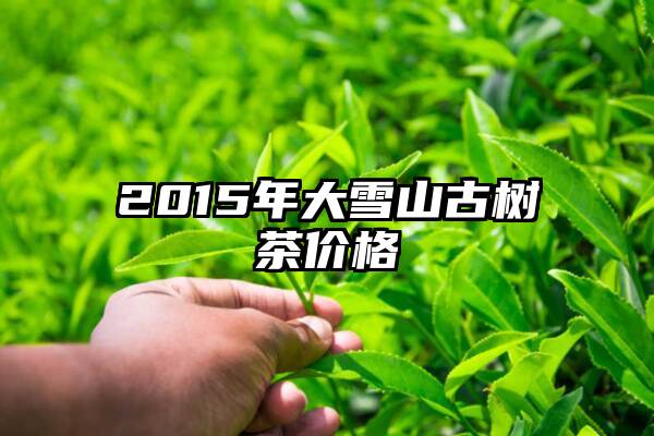 2015年大雪山古树茶价格