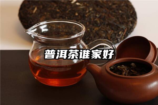 普洱茶谁家好