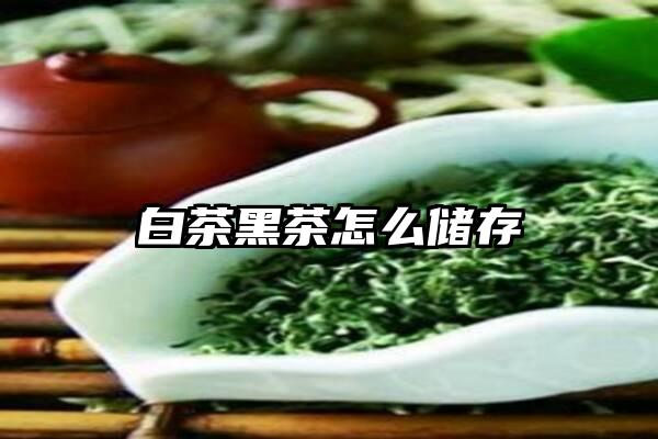 白茶黑茶怎么储存