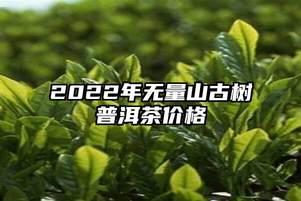 2022年无量山古树普洱茶价格