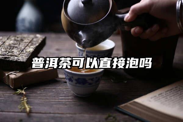 普洱茶可以直接泡吗