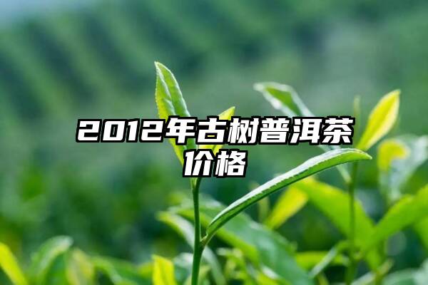 2012年古树普洱茶价格