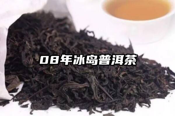 08年冰岛普洱茶