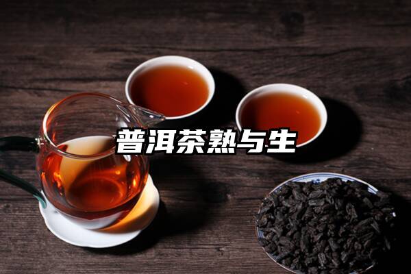 普洱茶熟与生