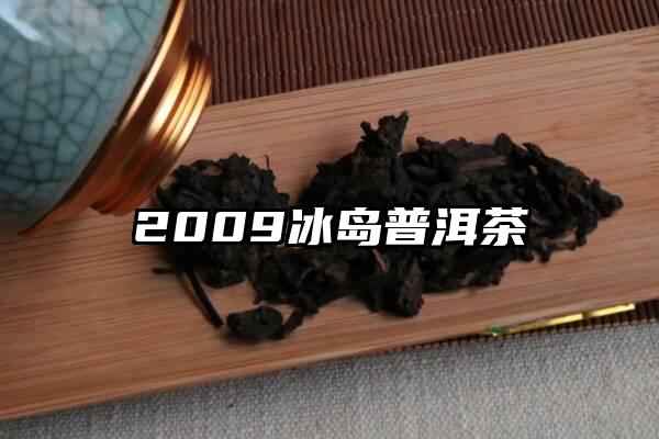 2009冰岛普洱茶