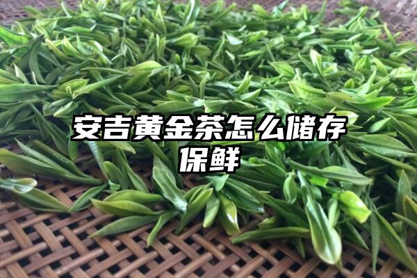 安吉黄金茶怎么储存保鲜