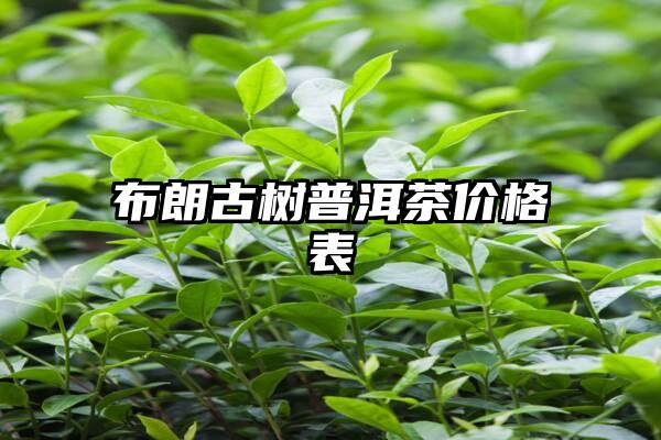 布朗古树普洱茶价格表