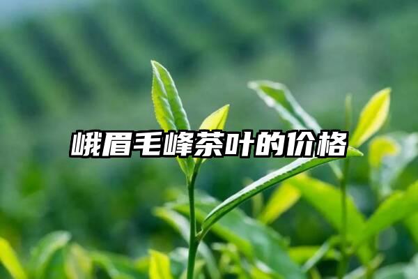 峨眉毛峰茶叶的价格