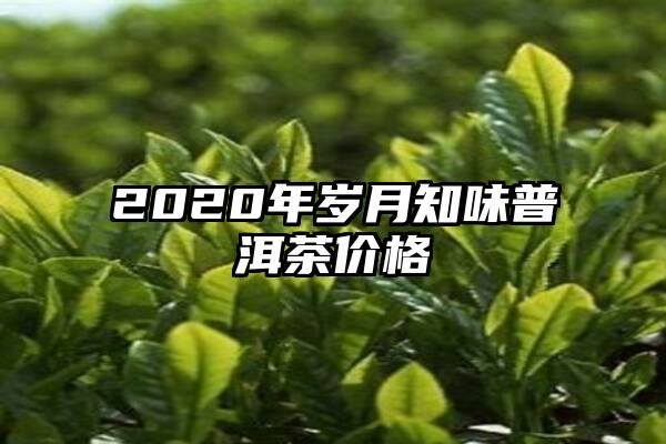 2020年岁月知味普洱茶价格