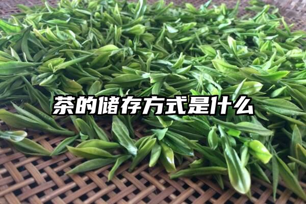 茶的储存方式是什么