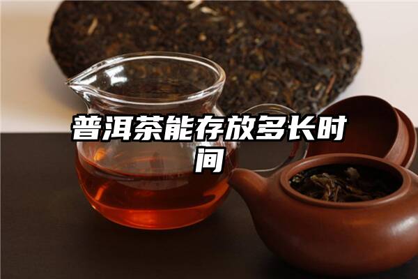 普洱茶能存放多长时间