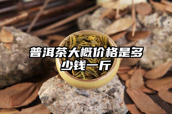 普洱茶大概价格是多少钱一斤