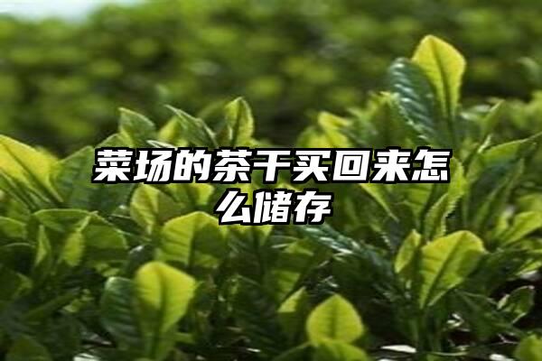 菜场的茶干买回来怎么储存