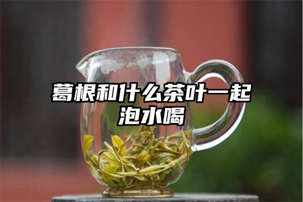 葛根和什么茶叶一起泡水喝