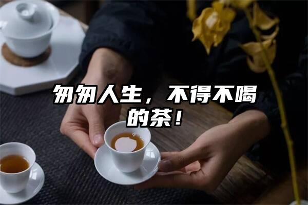 匆匆人生，不得不喝的茶！