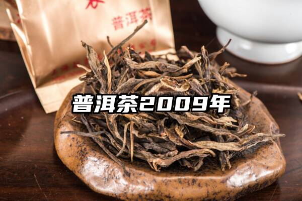 普洱茶2009年